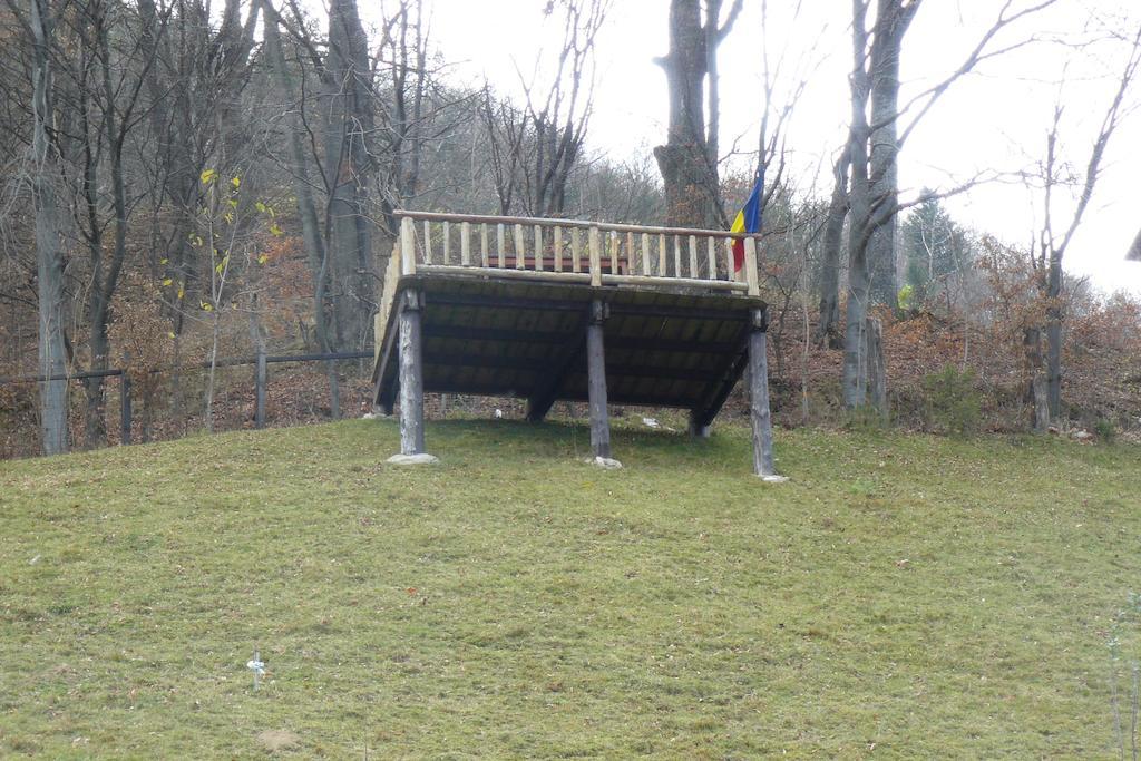 Pensiunea Vladut Törcsvár Szoba fotó