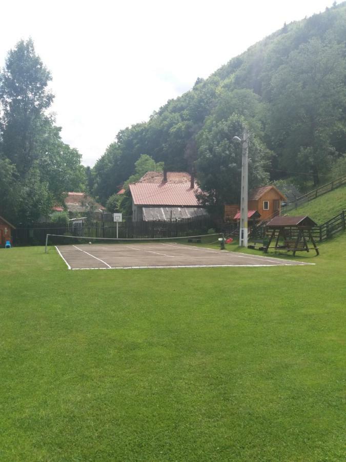 Pensiunea Vladut Törcsvár Kültér fotó