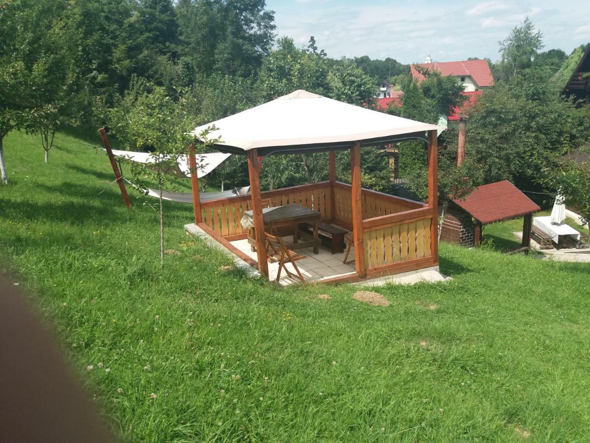 Pensiunea Vladut Törcsvár Kültér fotó